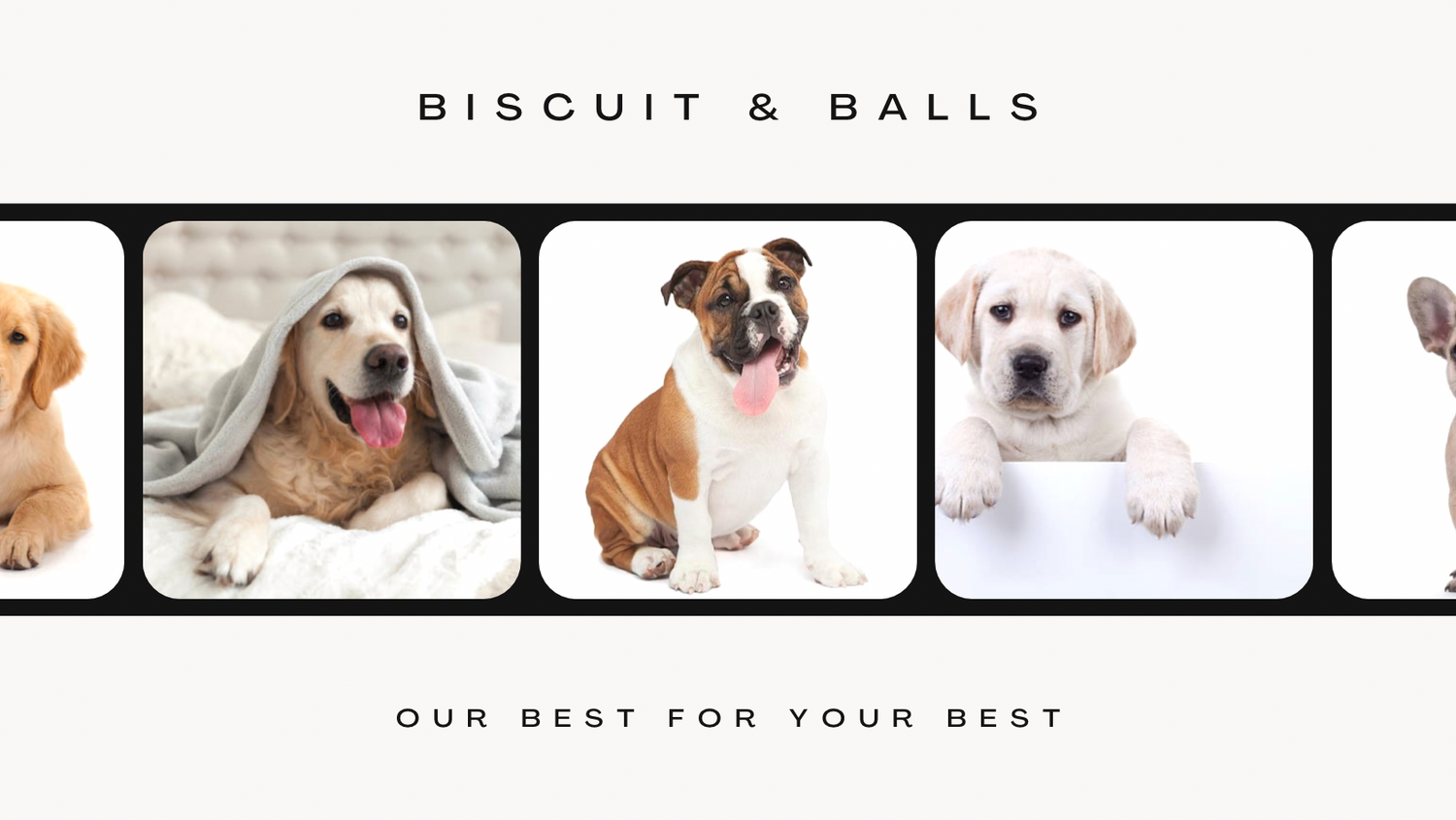 Biscuit & Balls "Our Best for Your Best"